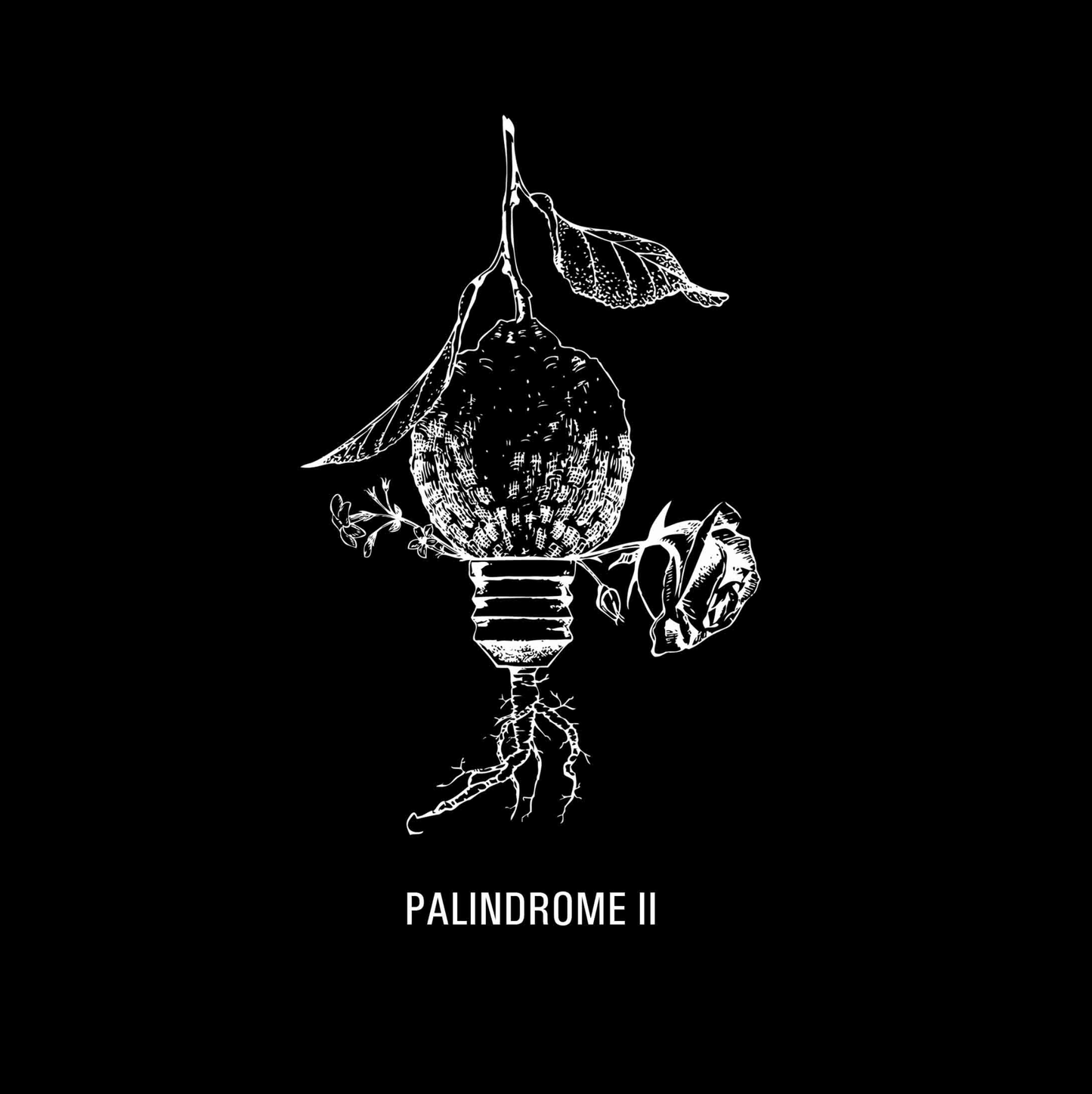 Palindrome II – Dualité Boisée et Force Intérieure