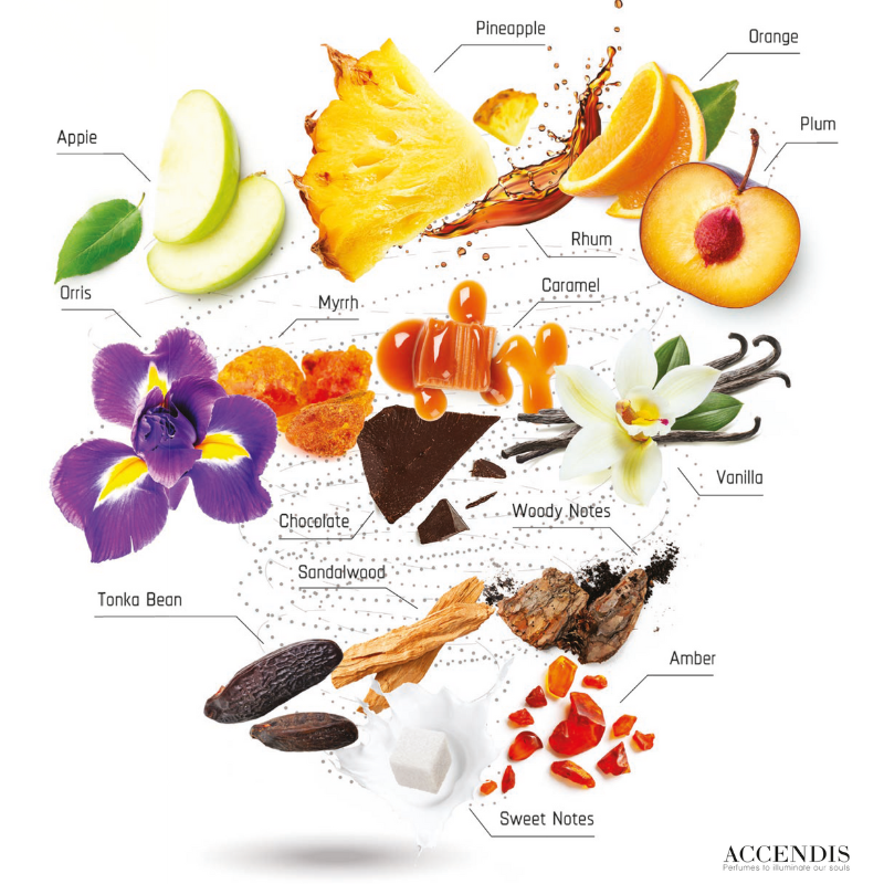 Alidoro – Accendis