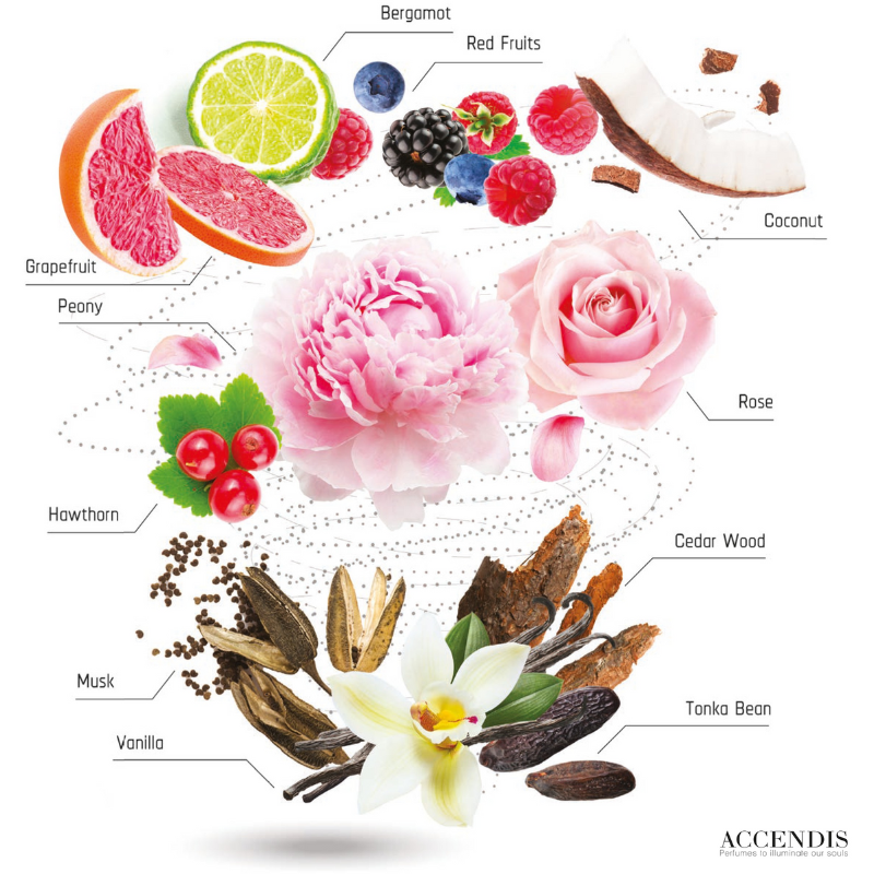 Luna Dulcius – Accendis