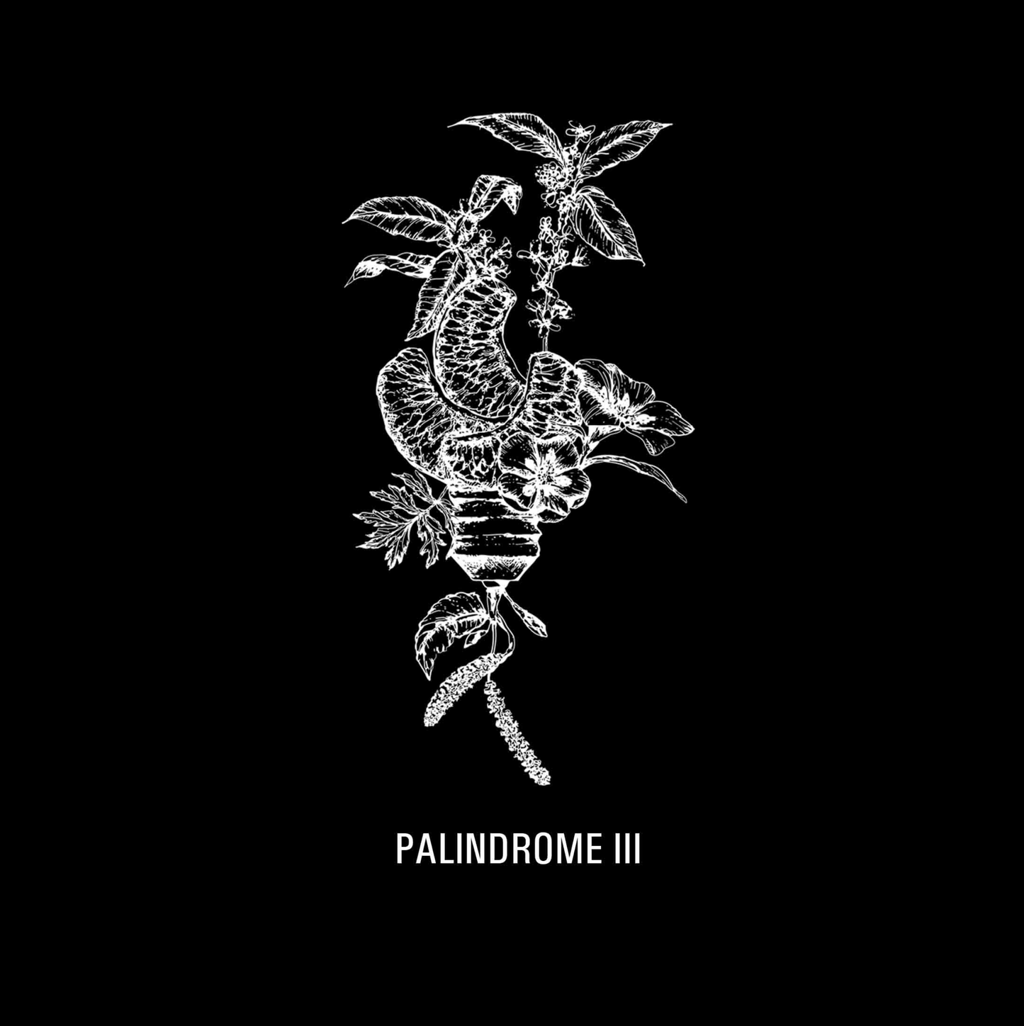 Palindrome III – Clarté Minérale et Sérénité Intérieure