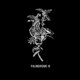 Palindrome III – Clarté Minérale et Sérénité Intérieure