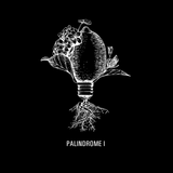 Palindrome I – Équilibre Absolu et Harmonie Sensorielle