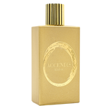 Accendis Alidoro – Eau de Parfum – 100 ml