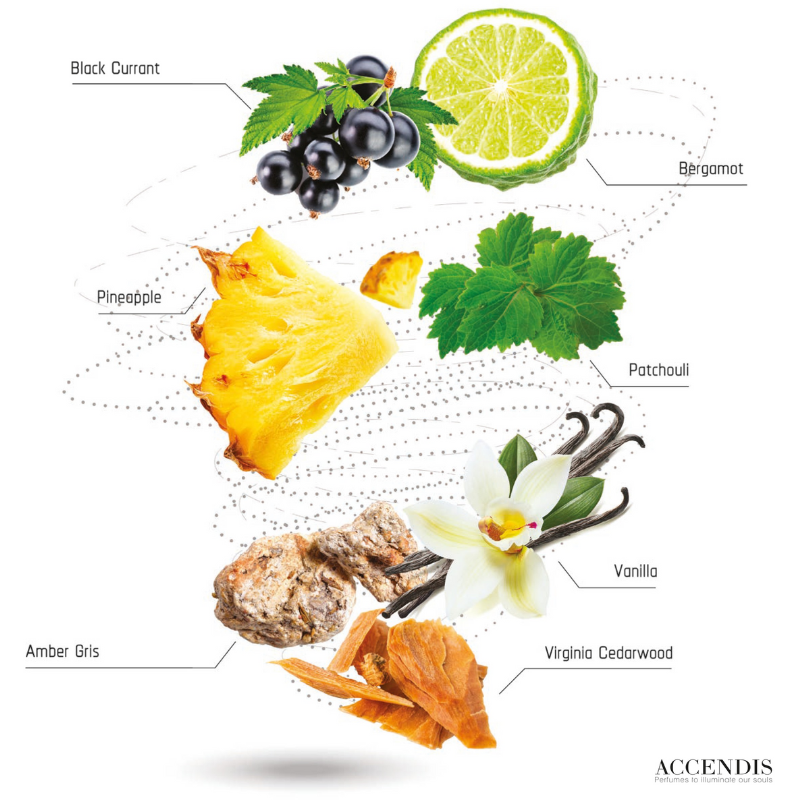 Lucevera – Accendis