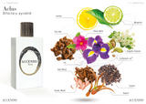 Accendis Aclus – Eau de Parfum – 100 ml