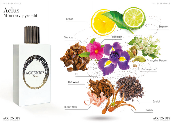 Accendis Aclus – Eau de Parfum – 100 ml