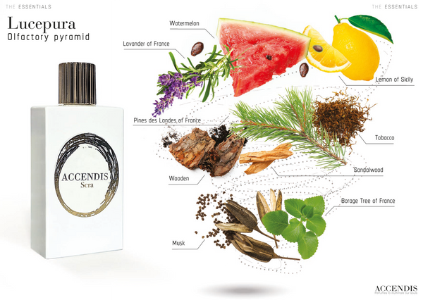 Accendis Lucepura – Eau de Parfum – 100 ml