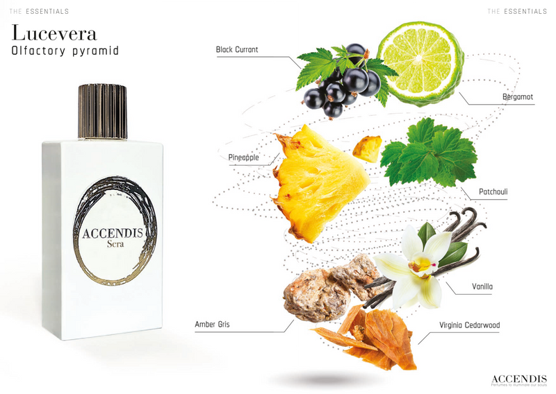 Accendis Lucevera – Eau de Parfum – 100 ml