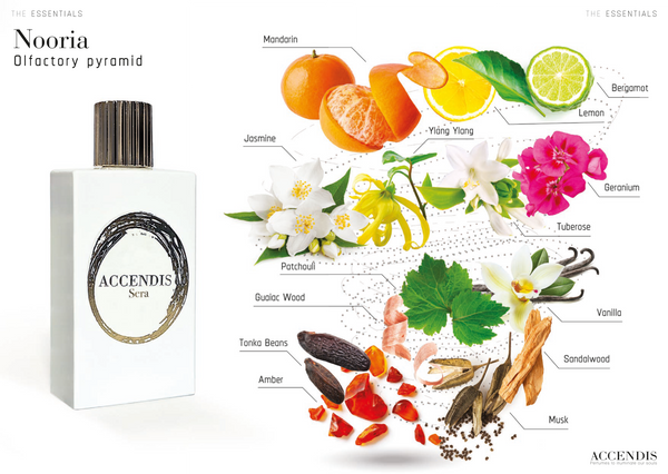 Accendis Nooria – Eau de Parfum – 100 ml