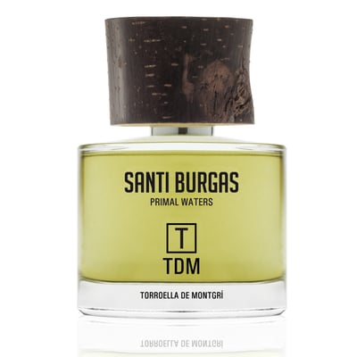 Flacon du parfum Santi Burgas T-TDM – Parfum de niche boisé et ambré
